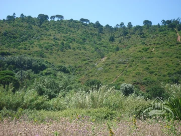 Quinta T8 para Venda em União das Freguesias de Setúbal