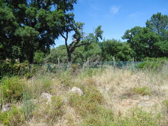 Quinta T8 para Venda em União das Freguesias de Setúbal Foto 4