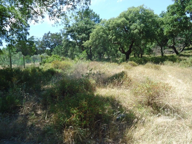 Quinta T8 para Venda em União das Freguesias de Setúbal Foto 8