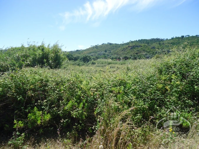 Quinta T8 para Venda em União das Freguesias de Setúbal Foto 27