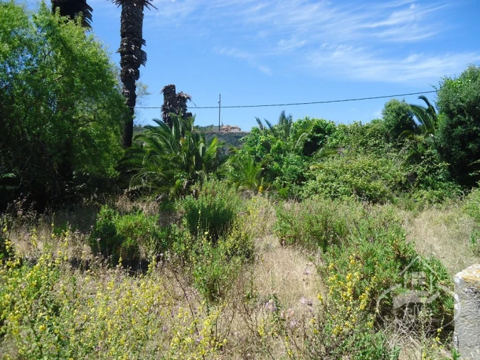 Quinta T8 para Venda em União das Freguesias de Setúbal Foto 28