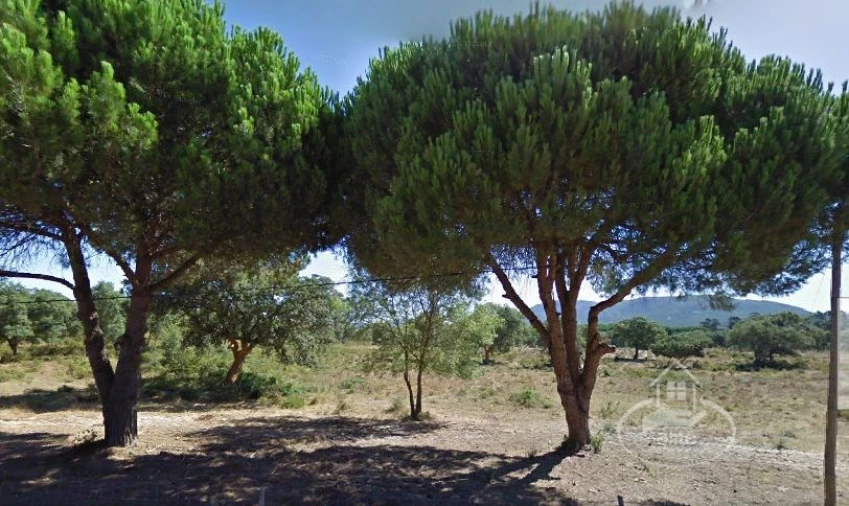 Quinta T8 para Venda em União das Freguesias de Setúbal Foto 34