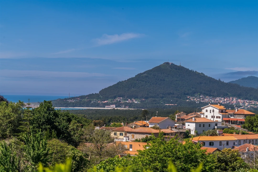 Terreno para Venda em Moledo e Cristelo Foto 2