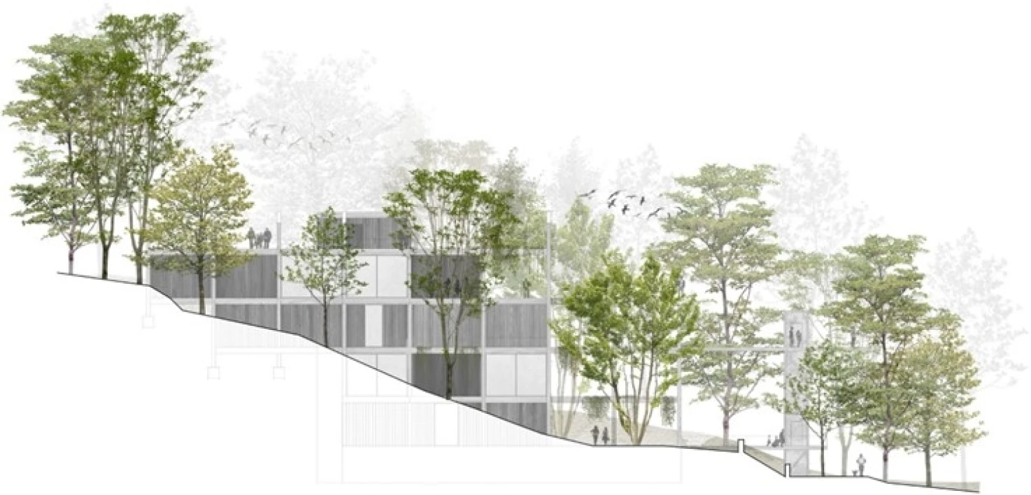 Terreno para Venda em Valdosende Foto 14