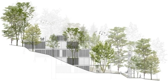 Terreno para Venda em Valdosende