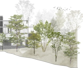 Terreno para Venda em Valdosende