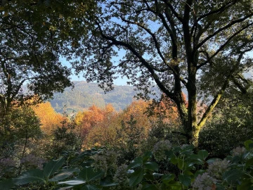 Terreno para Venda em Valdosende