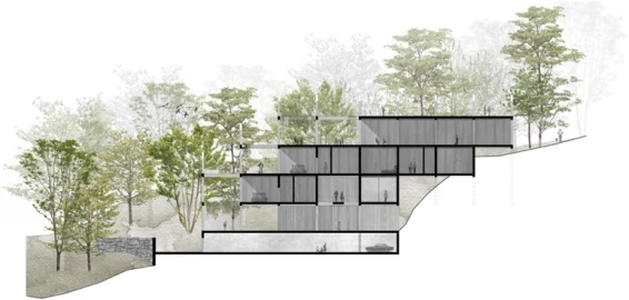 Terreno para Venda em Valdosende