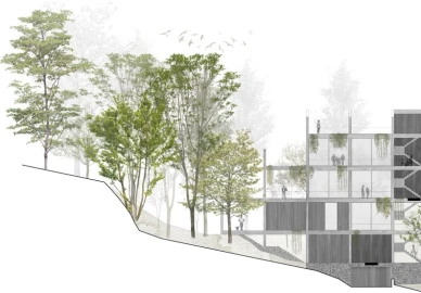 Terreno para Venda em Valdosende