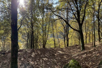 Terreno para Venda em Valdosende