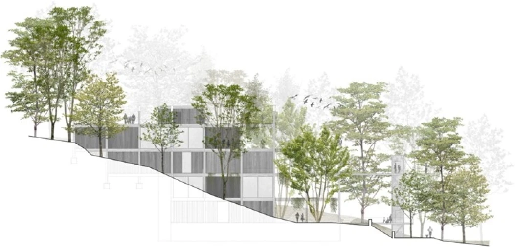 Terreno para Venda em Valdosende Foto 14