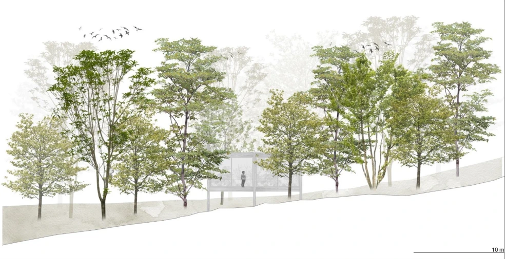 Terreno para Venda em Valdosende Foto 19