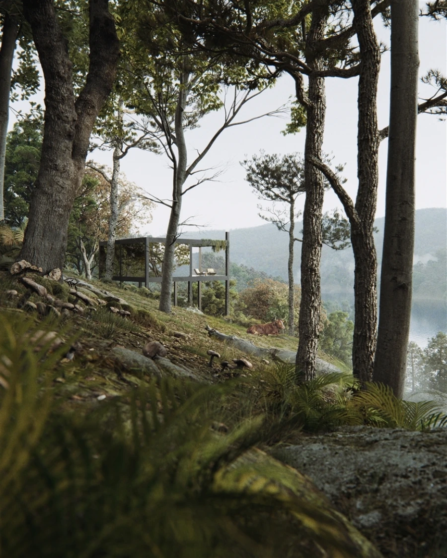 Terreno para Venda em Valdosende Foto 4