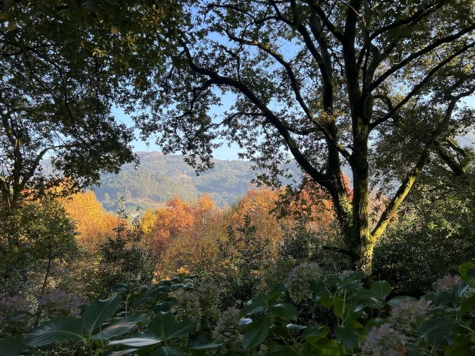 Terreno para Venda em Valdosende Foto 20