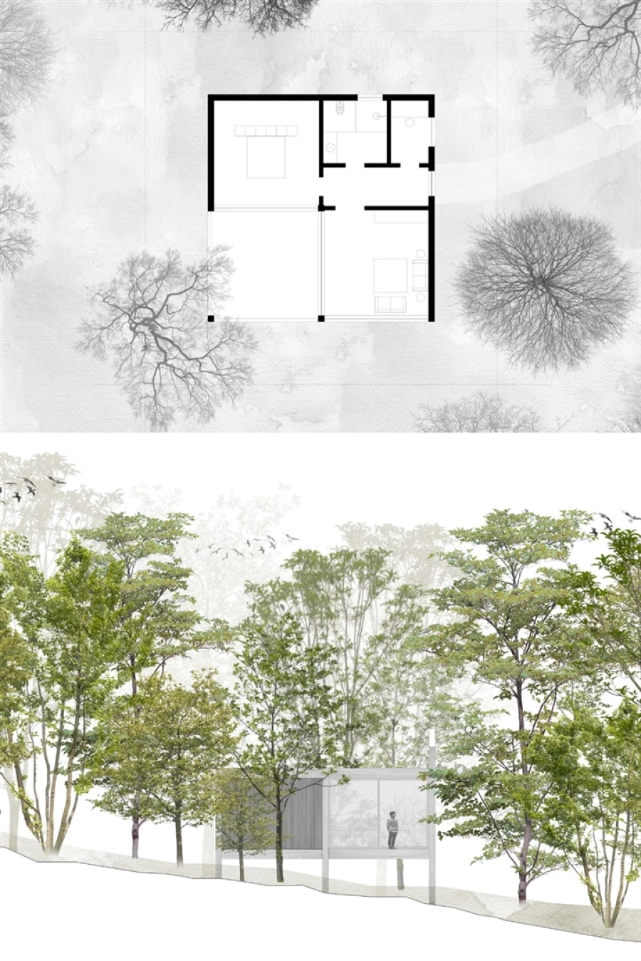 Terreno para Venda em Valdosende Foto 17