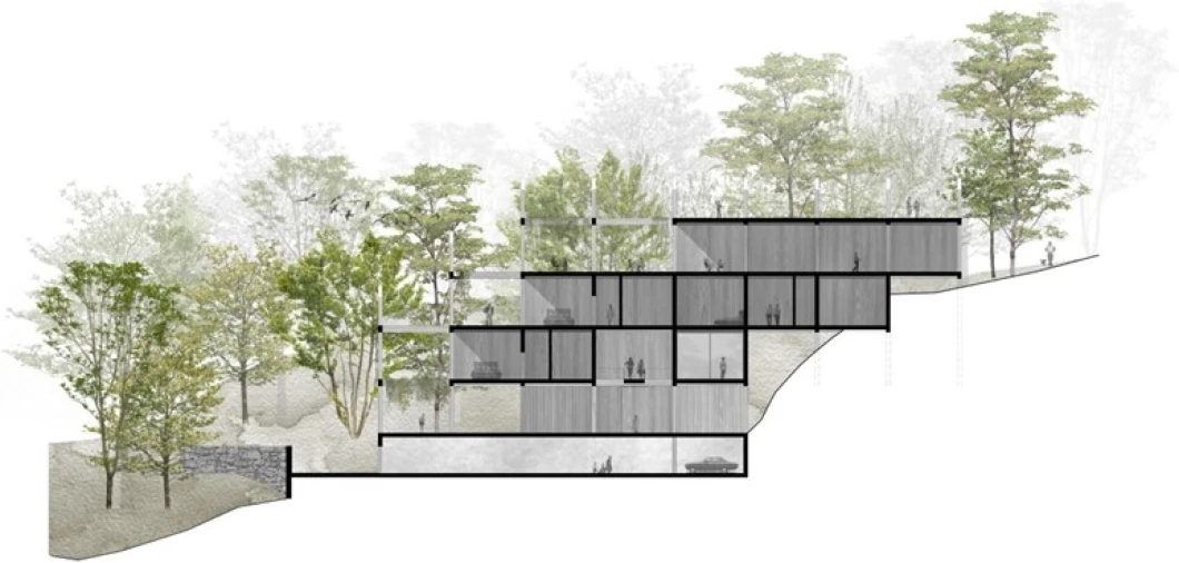 Terreno para Venda em Valdosende Foto 16