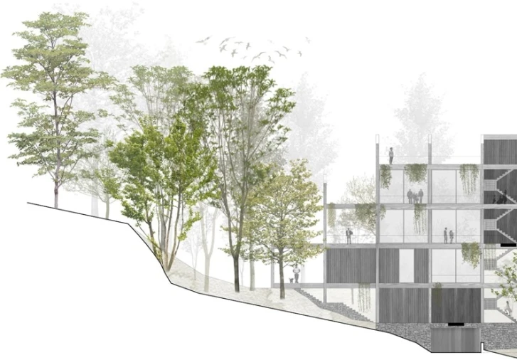 Terreno para Venda em Valdosende Foto 12