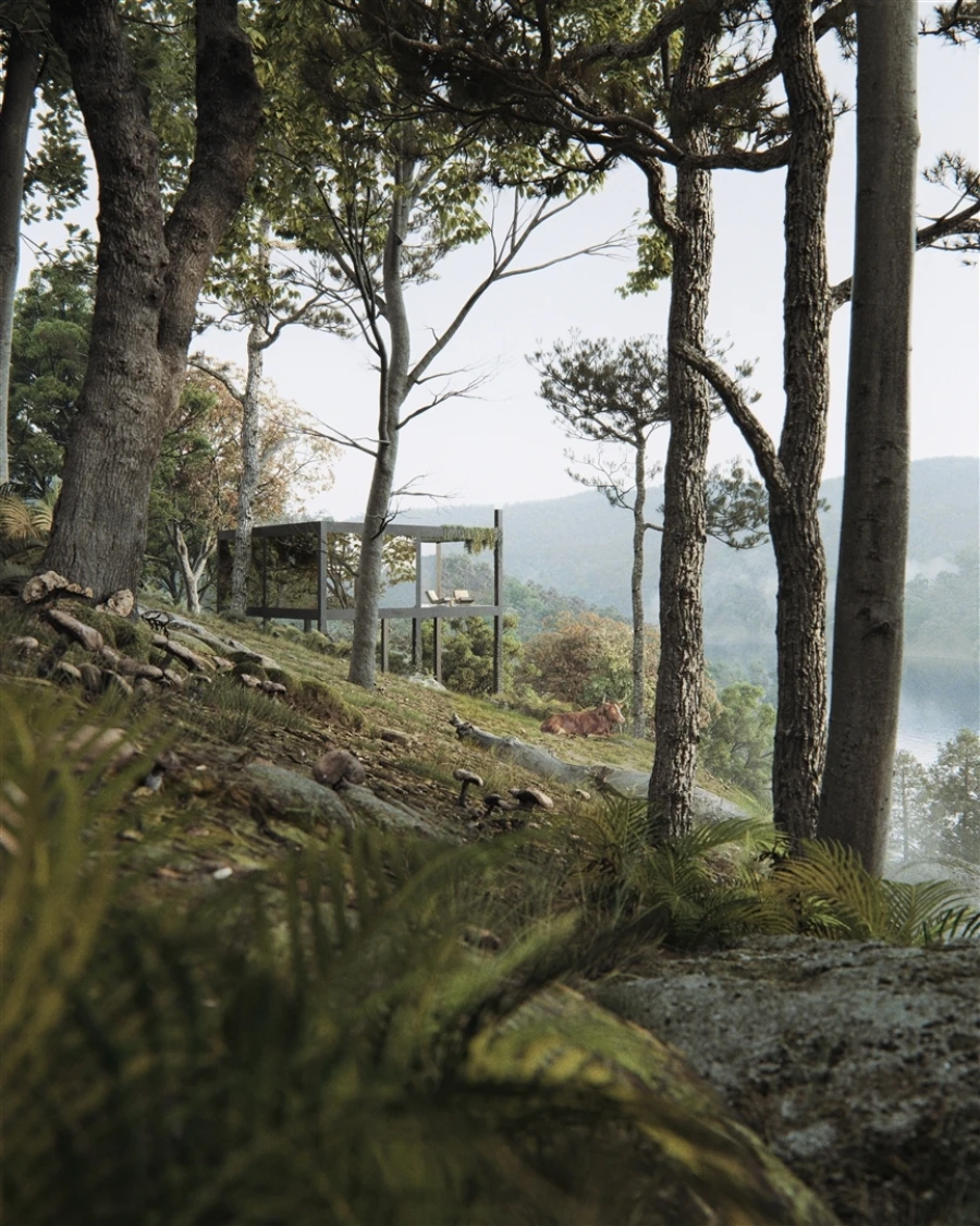 Terreno para Venda em Valdosende Foto 9