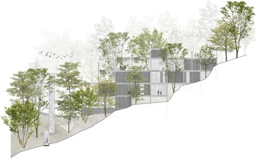 Terreno para Venda em Valdosende Foto 15