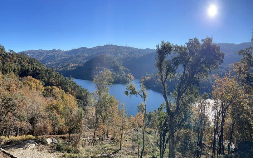 Terreno para Venda em Valdosende Foto 22