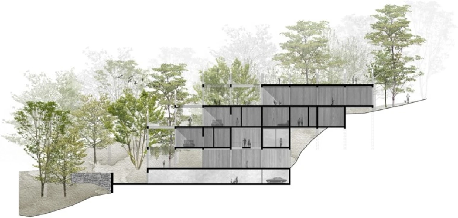 Terreno para Venda em Valdosende Foto 16