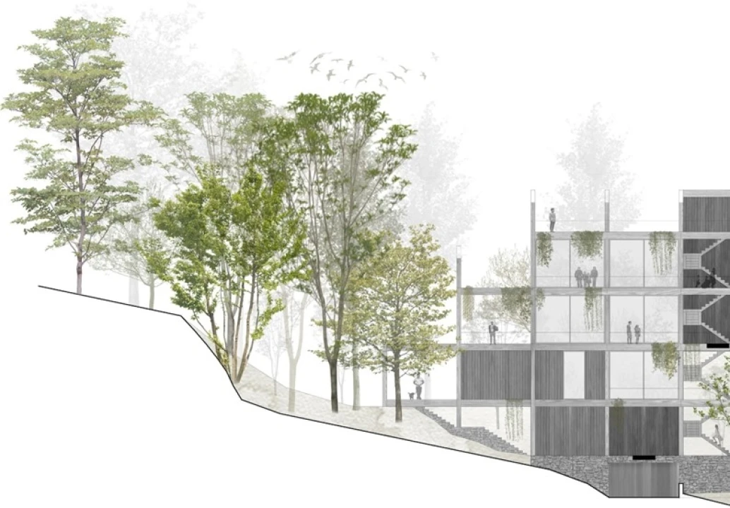 Terreno para Venda em Valdosende Foto 12