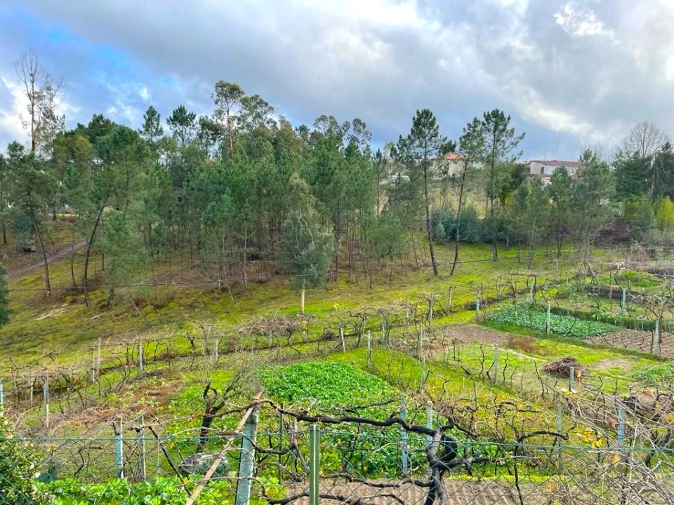 Quinta T6 para Venda em Amarante (São Gonçalo), Madalena, Cepelos e Gatão Foto 5
