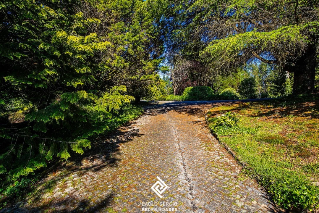 Moradia T6 para Venda em Abação e Gémeos Foto 25