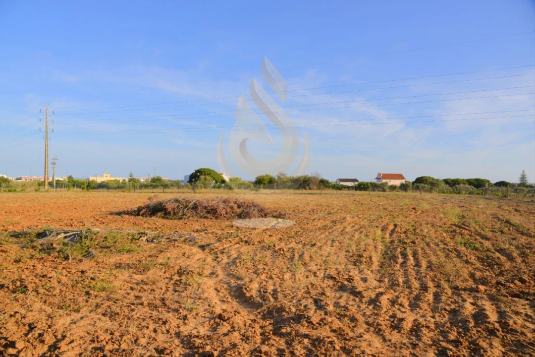 Quinta T5 para Venda em Pechão Foto 7