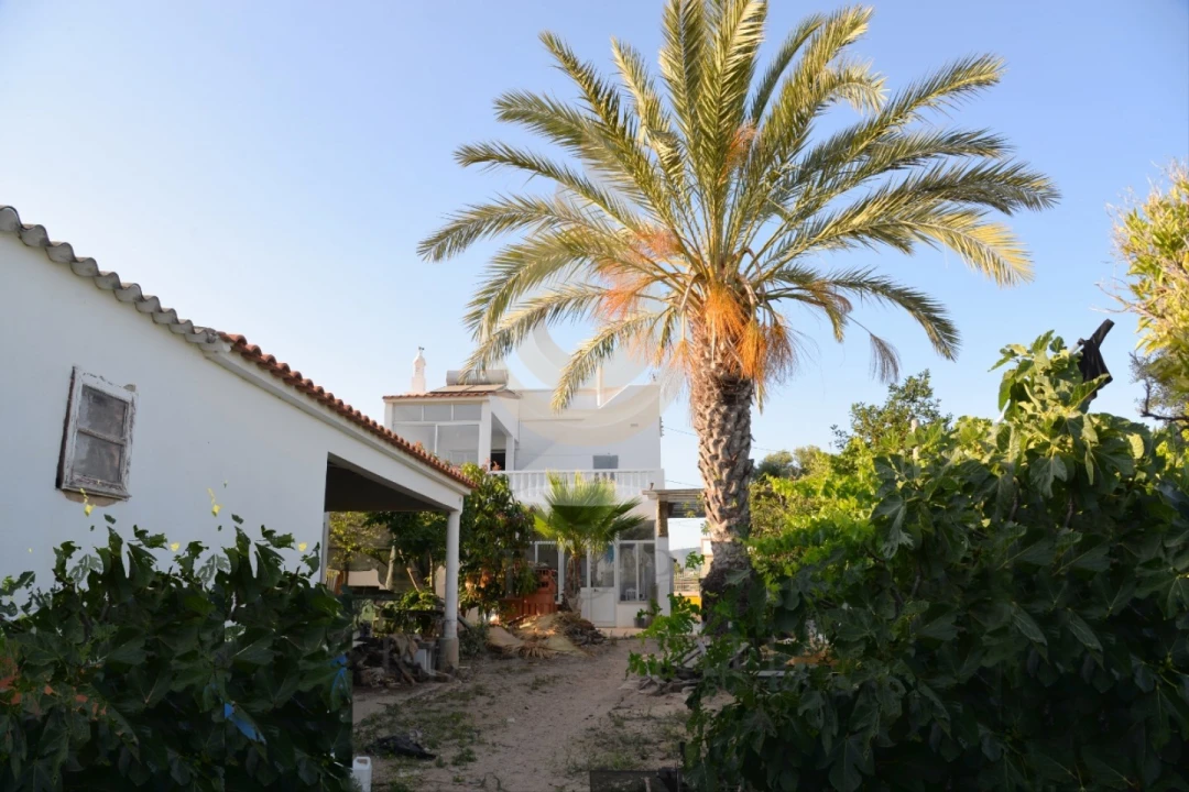 Quinta T5 para Venda em Pechão Foto 1