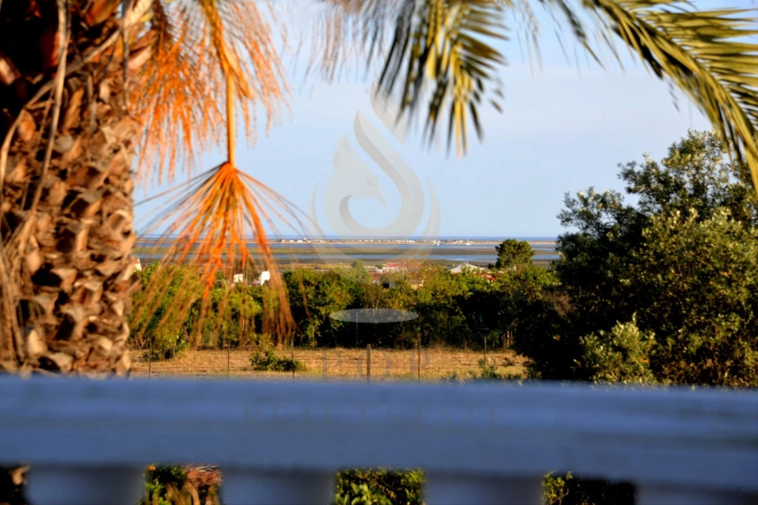 Quinta T5 para Venda em Pechão Foto 5