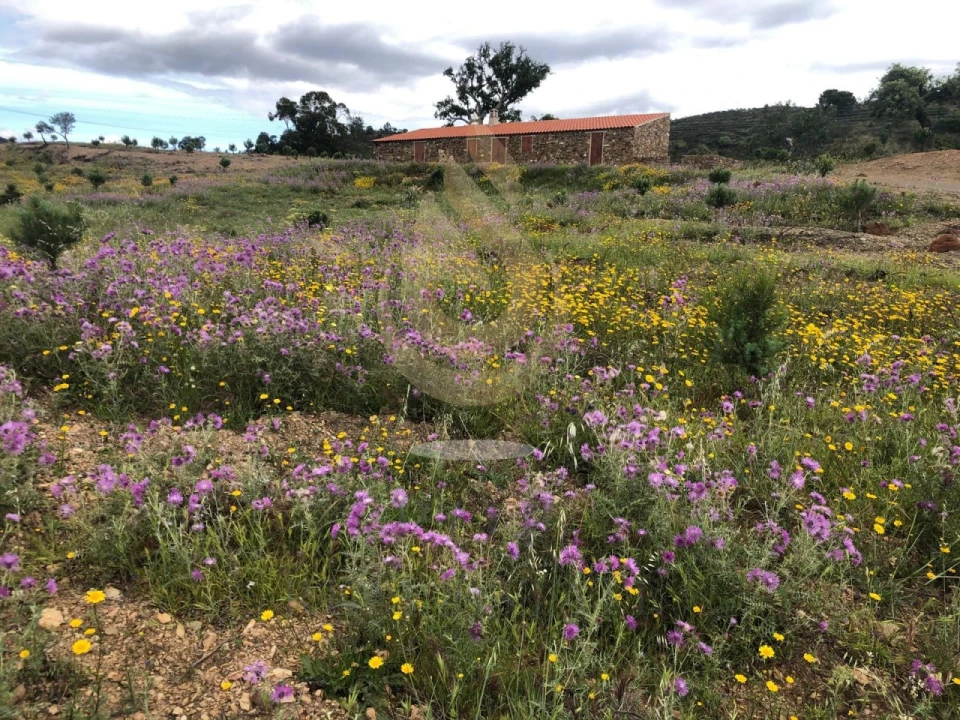 Quinta T5 para Venda em Querença, Tôr e Benafim Foto 2