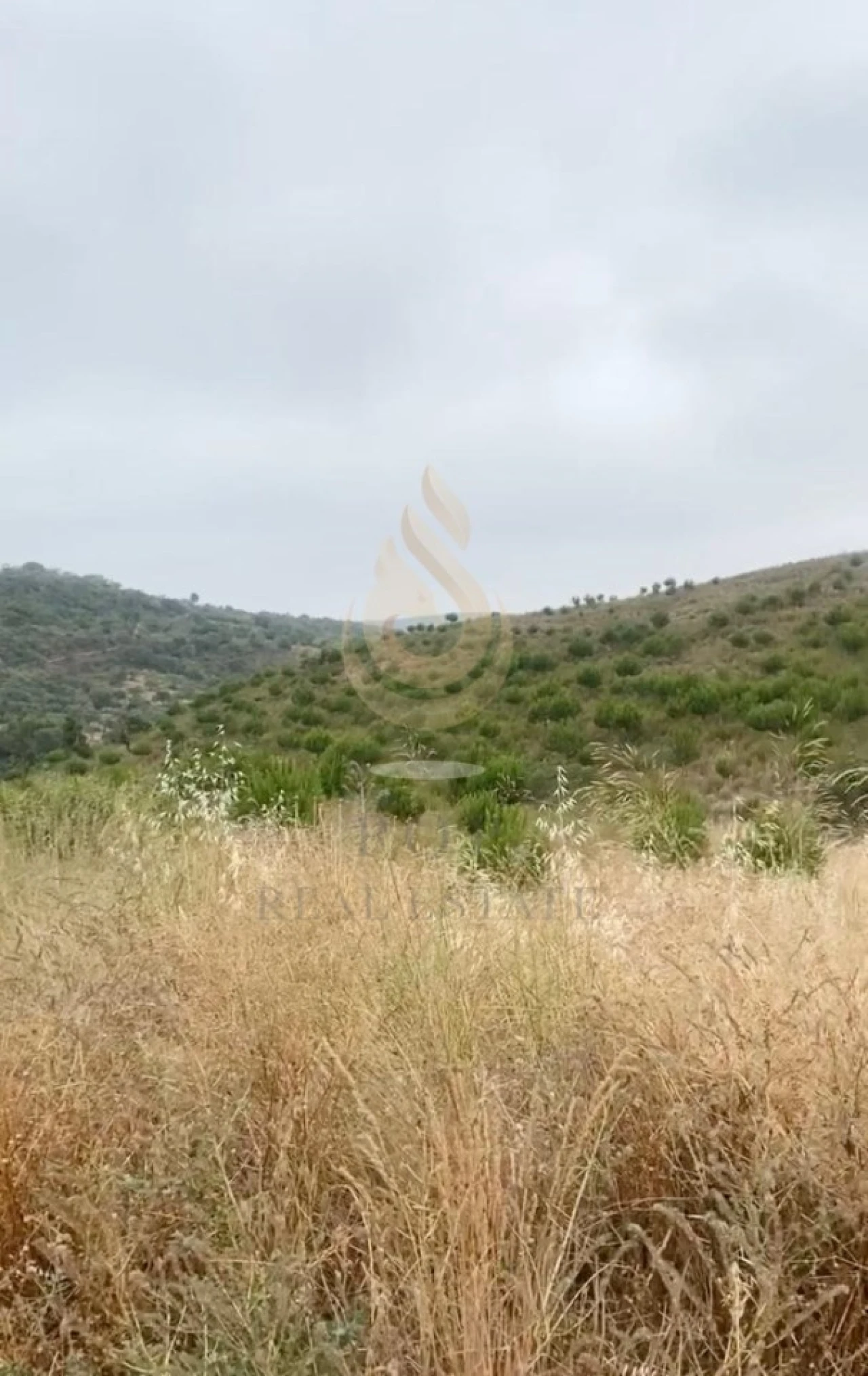 Quinta T5 para Venda em Querença, Tôr e Benafim Foto 12