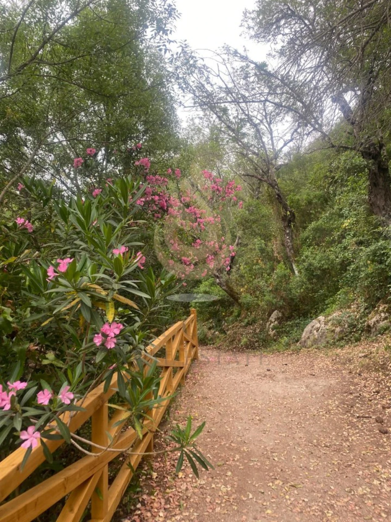 Quinta T5 para Venda em Querença, Tôr e Benafim Foto 14