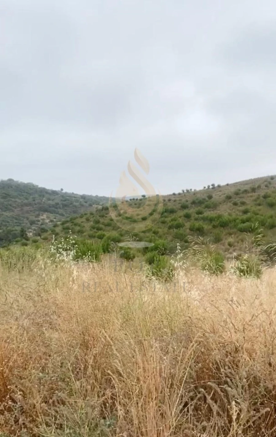 Quinta T5 para Venda em Querença, Tôr e Benafim Foto 12