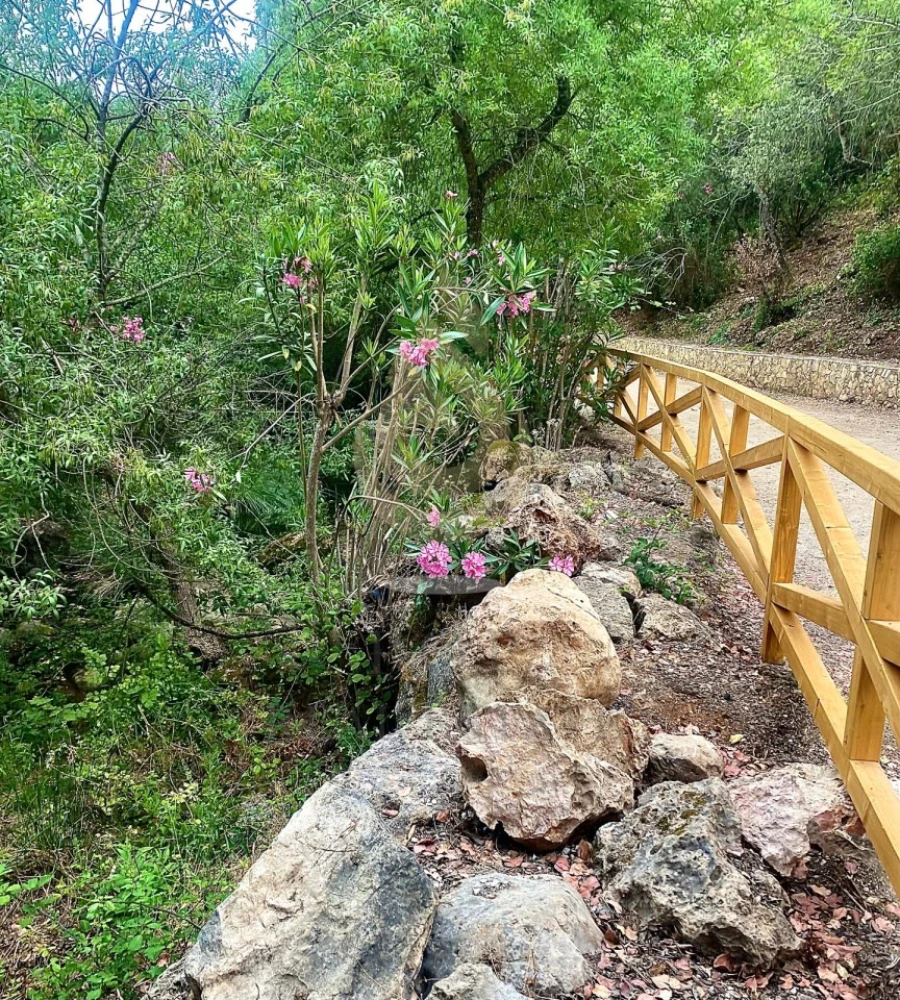 Quinta T5 para Venda em Querença, Tôr e Benafim Foto 13