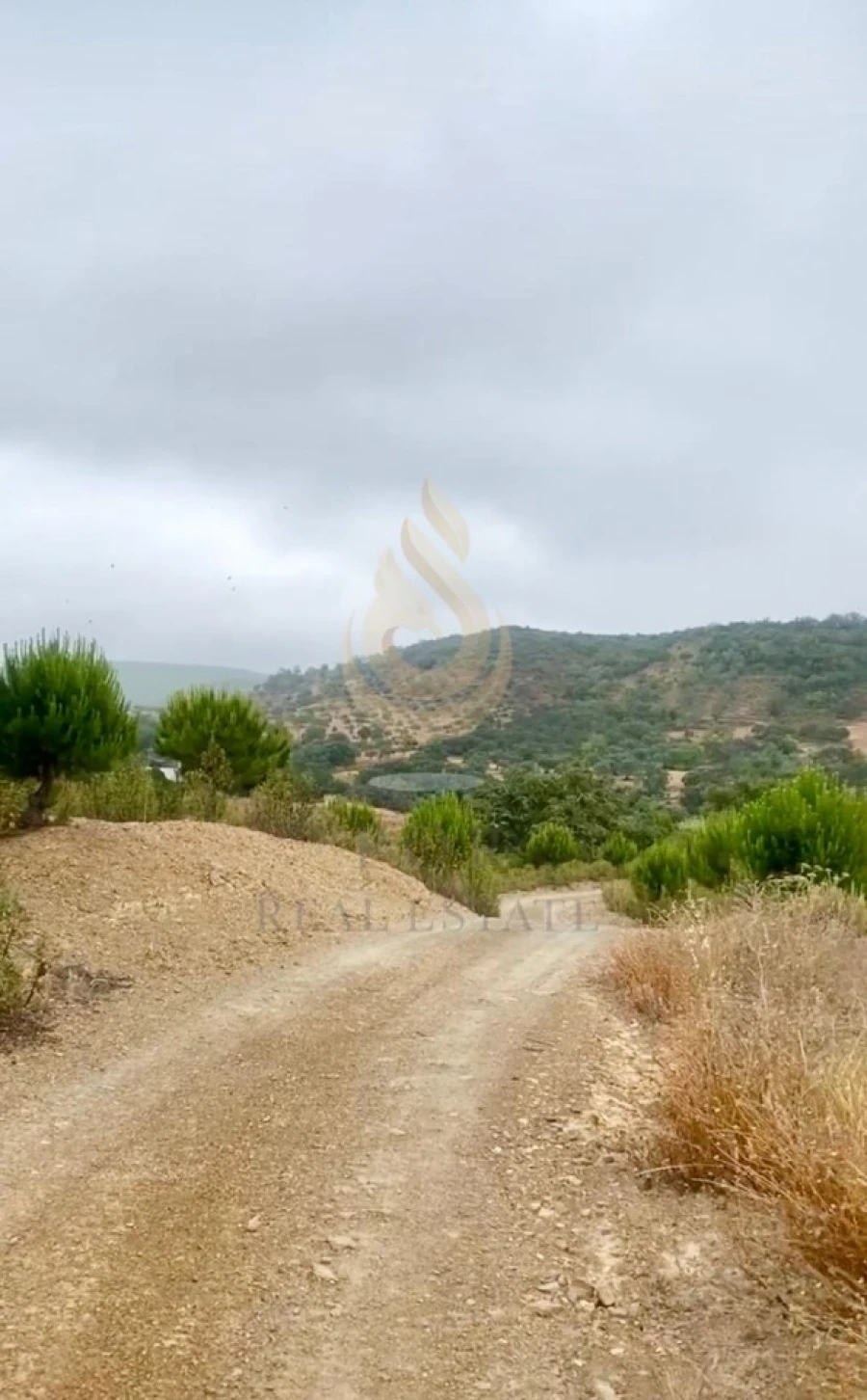Quinta T5 para Venda em Querença, Tôr e Benafim Foto 19