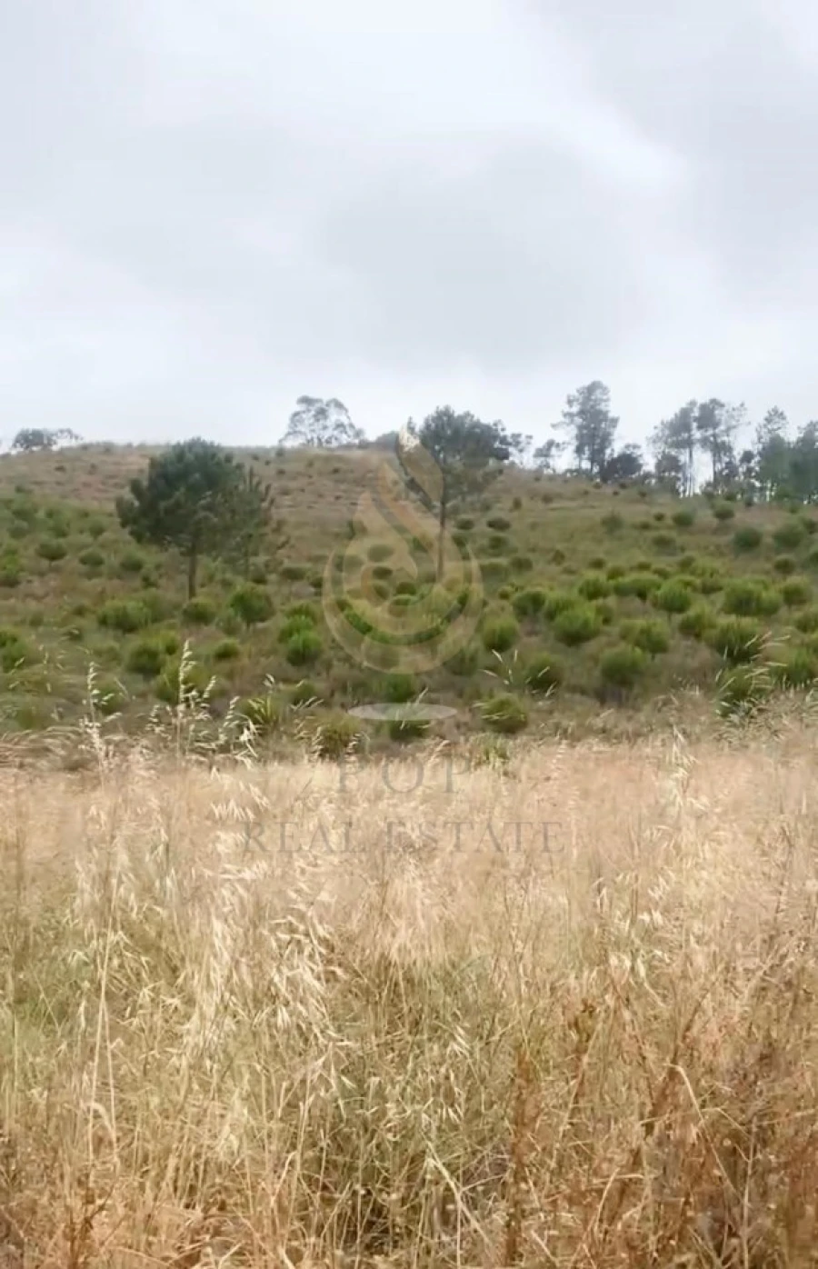 Quinta T5 para Venda em Querença, Tôr e Benafim Foto 18