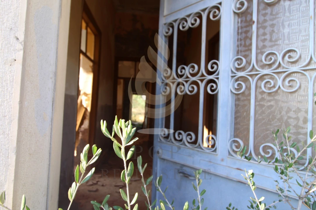 Quinta para Venda em Moncarapacho e Fuseta Foto 11