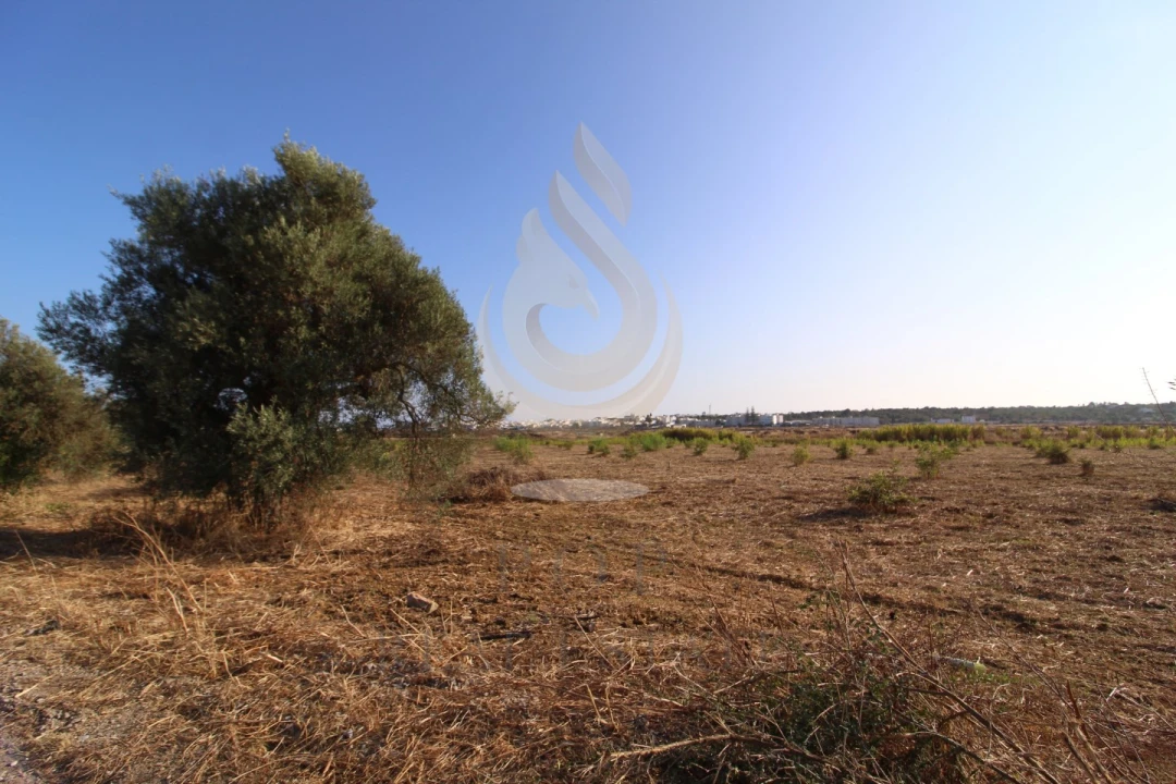 Quinta para Venda em Moncarapacho e Fuseta Foto 7