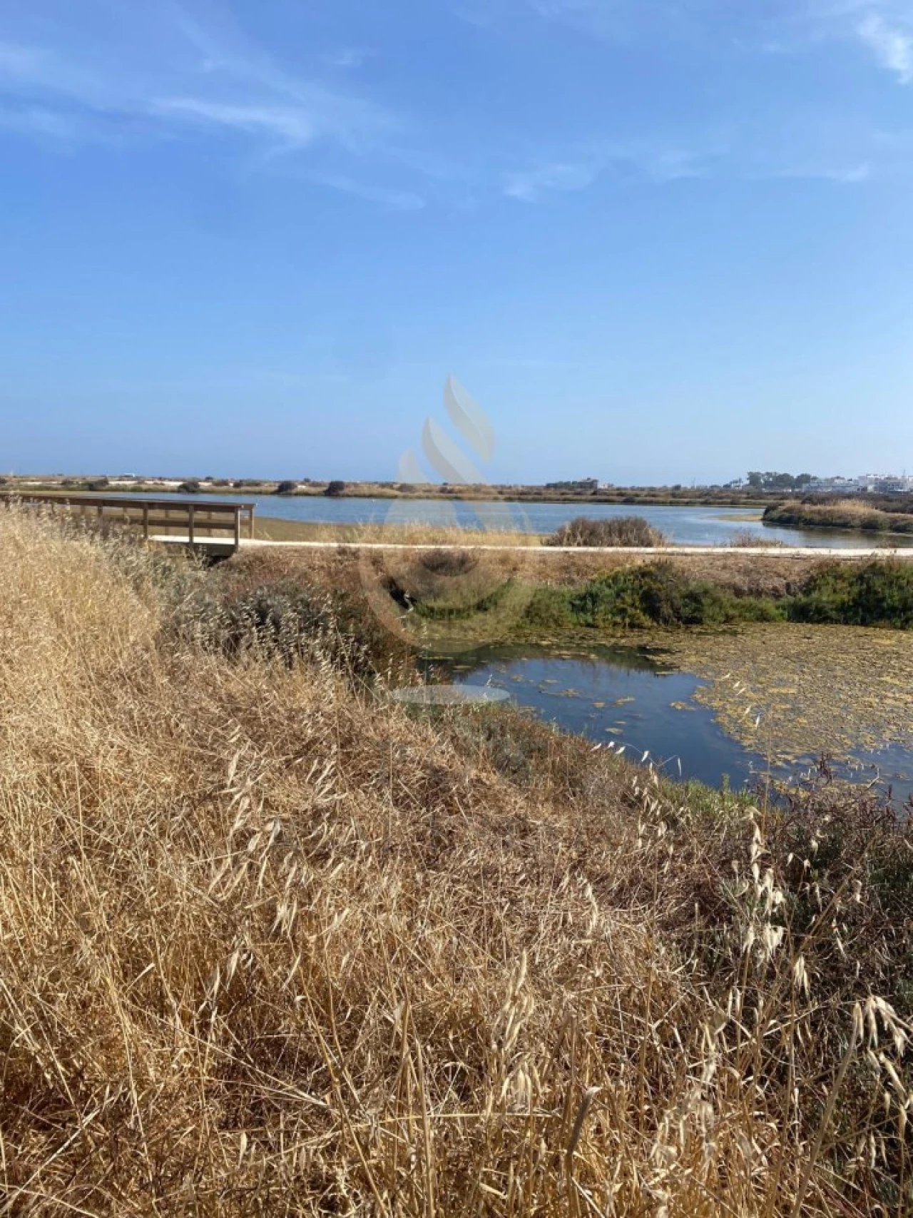 Quinta para Venda em Moncarapacho e Fuseta Foto 18