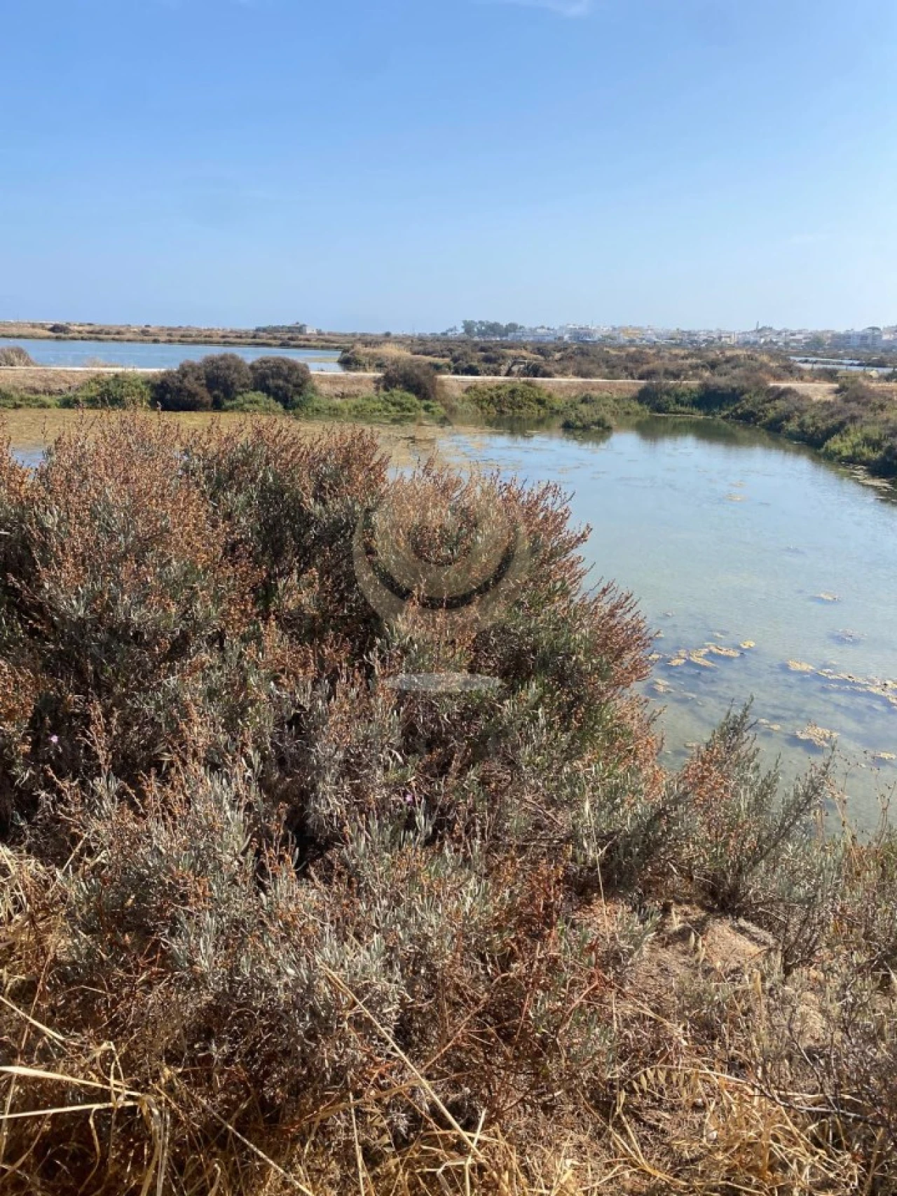 Quinta para Venda em Moncarapacho e Fuseta Foto 19