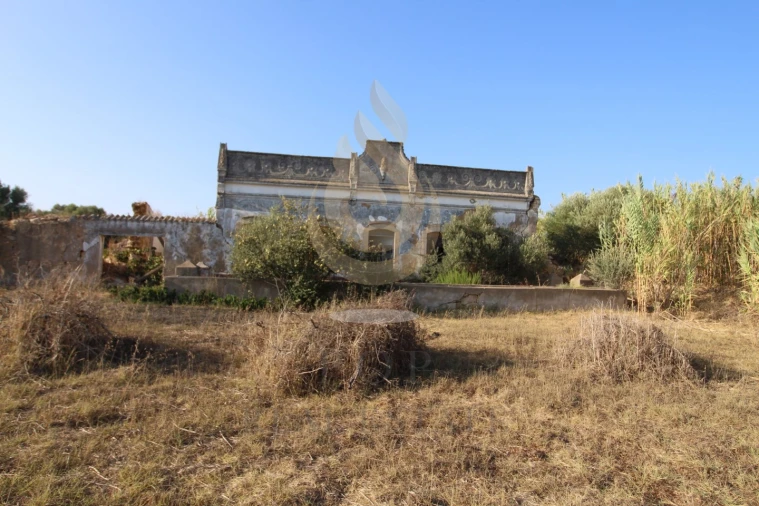 Quinta para Venda em Moncarapacho e Fuseta