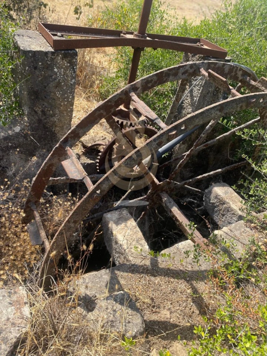 Quinta para Venda em Moncarapacho e Fuseta Foto 15
