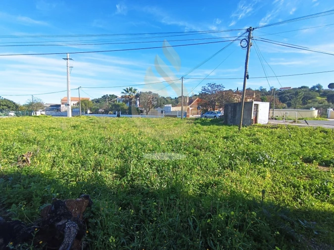 Terreno Comércio / Armazém para Venda em São Brás de Alportel Foto 1