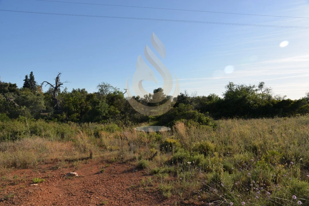 Terreno Agricola ou Rústico para Venda em Quelfes Foto 1