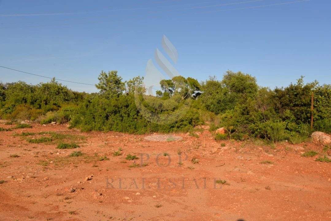 Terreno Agricola ou Rústico para Venda em Quelfes Foto 2