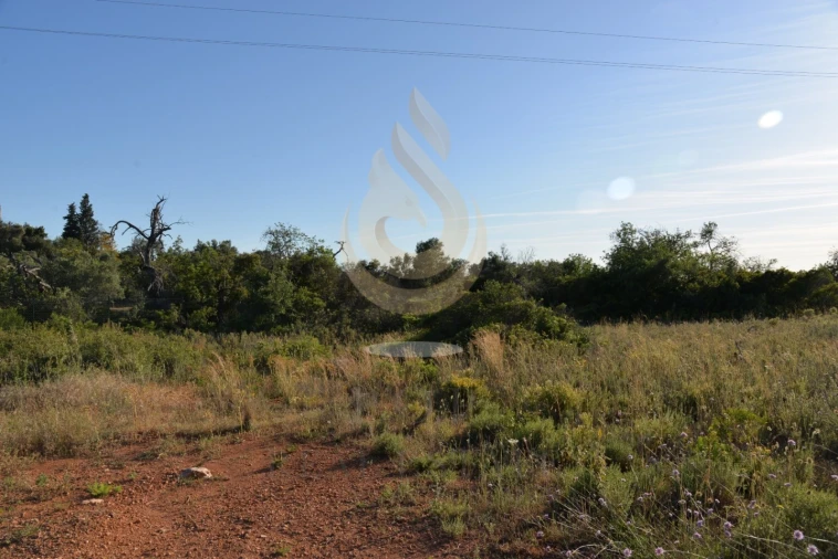 Terreno Agricola ou Rústico para Venda em Quelfes
