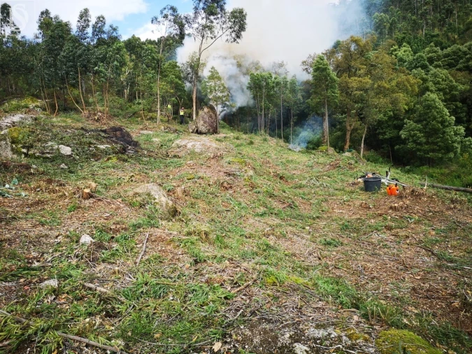 Terreno para Venda em Santo Tirso, Couto (Santa Cristina e São Miguel) e Burgães Foto 5