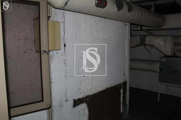 Negócio para Venda em Paços de Ferreira Foto 7